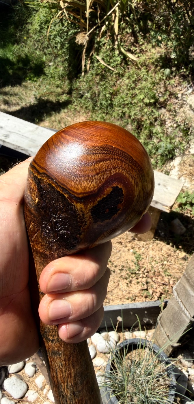 Wild cherry Shillelagh 