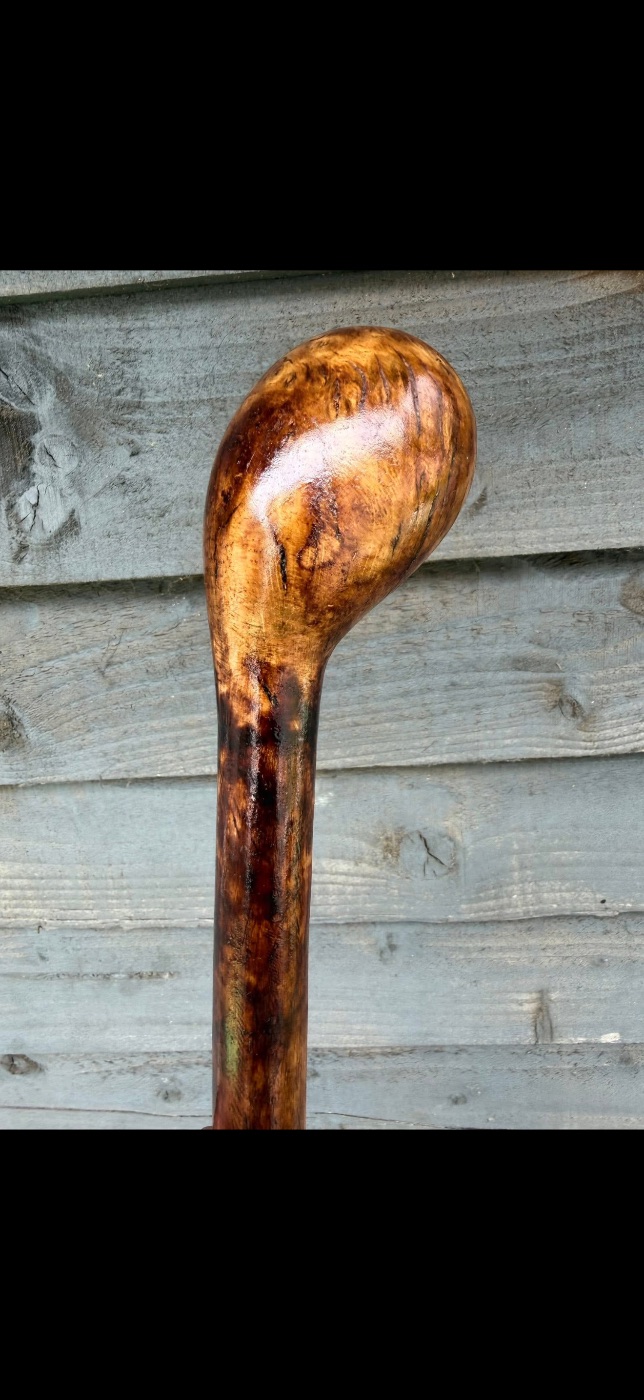 Oak burl and hazel two piece 