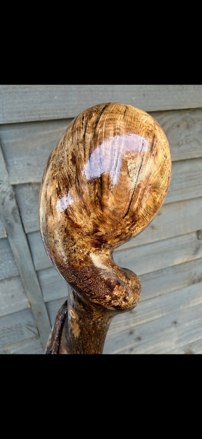 Twisty Hazel and oak burl two piece 