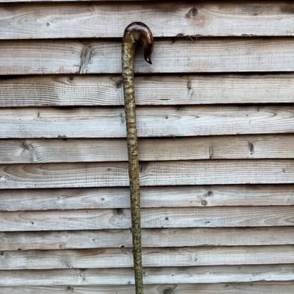 The Long Staff