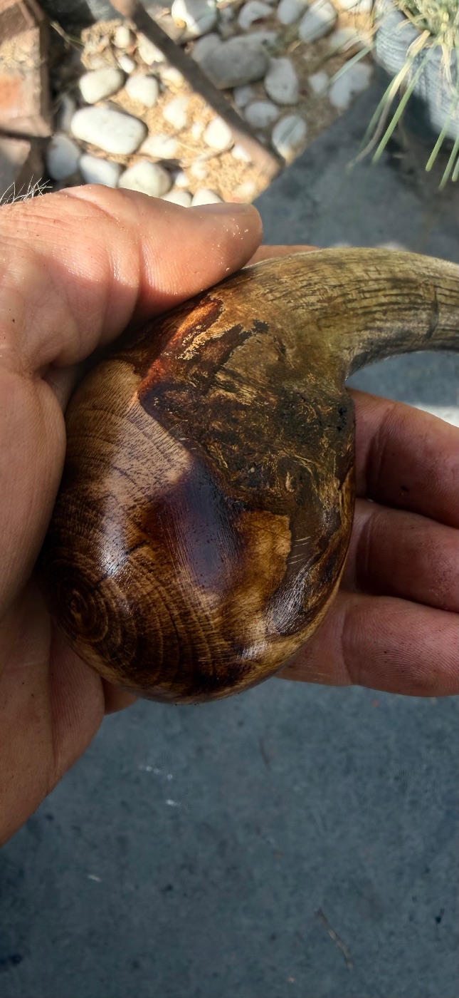 Rustic hazel knob stick 