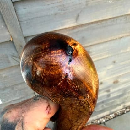 Honeyed Burl Knob
