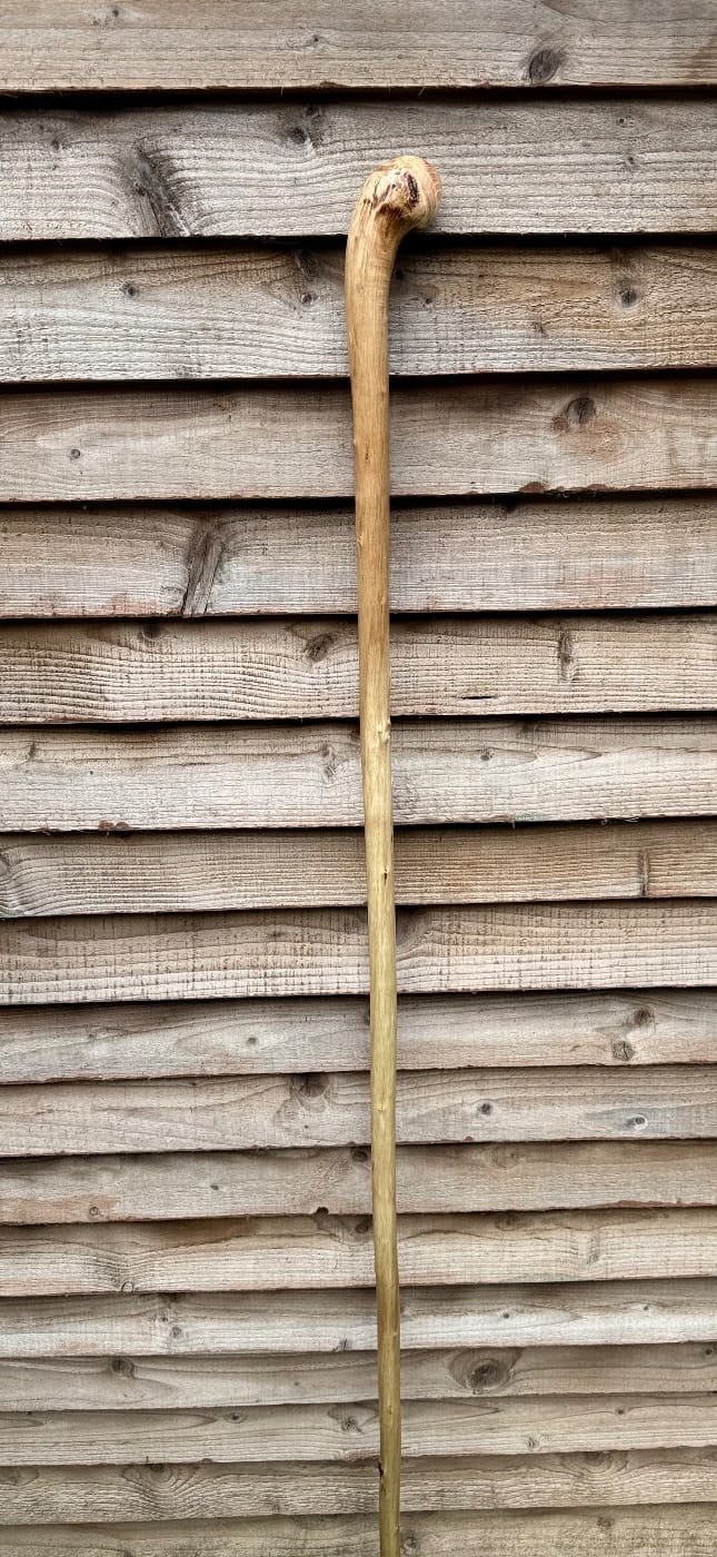 Horn Bone handled Hazel staff 