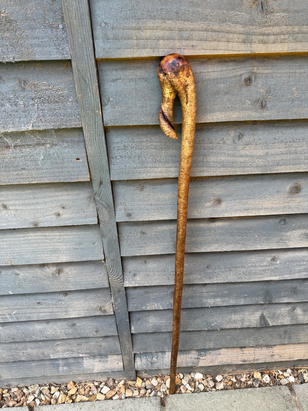 Rustic twisty crook hiker