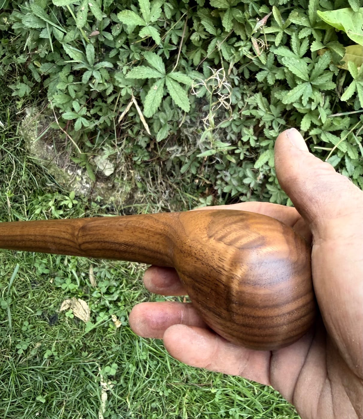 Black walnut tiger stripe cane 02 