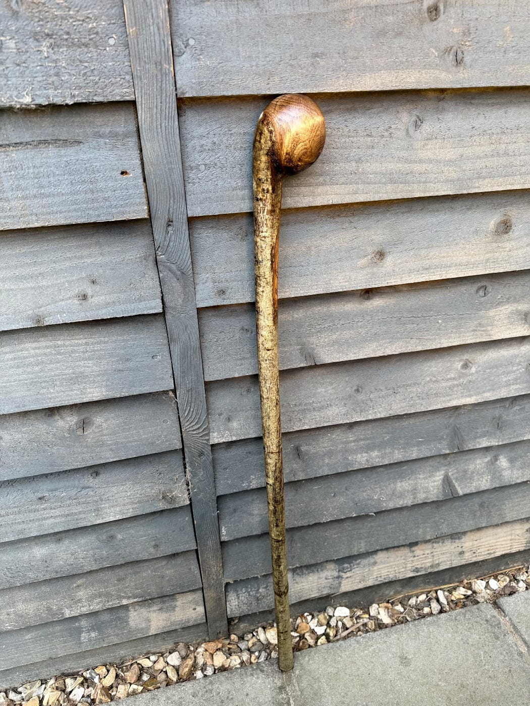 Hazel shille knob stick 